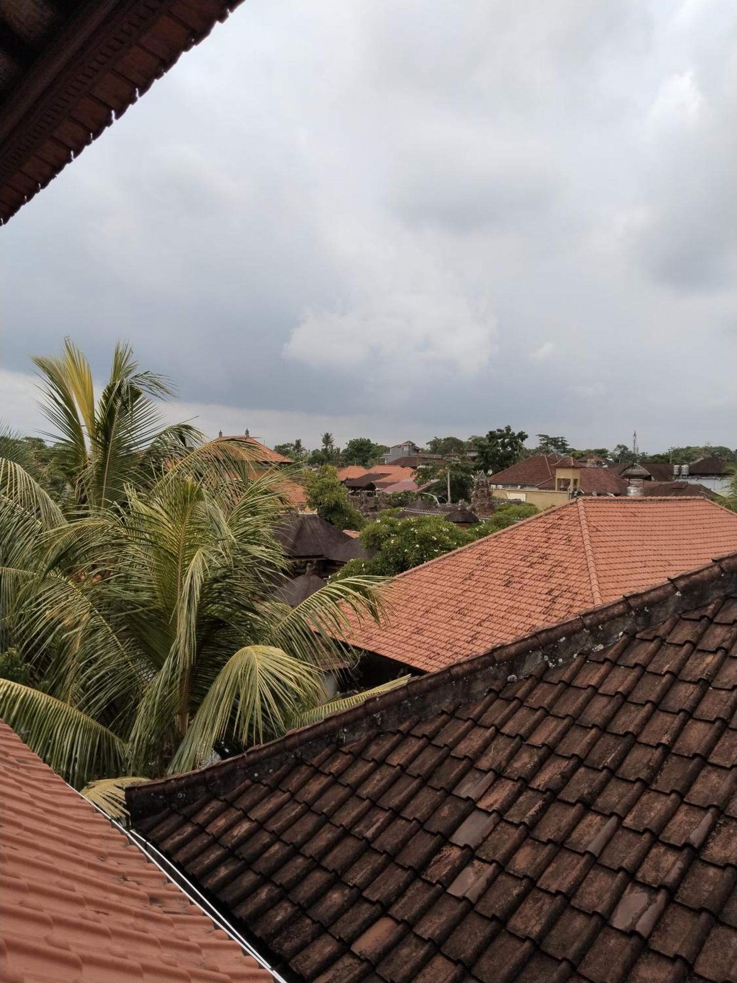 Dewa Bungalows Убуд Номер фото