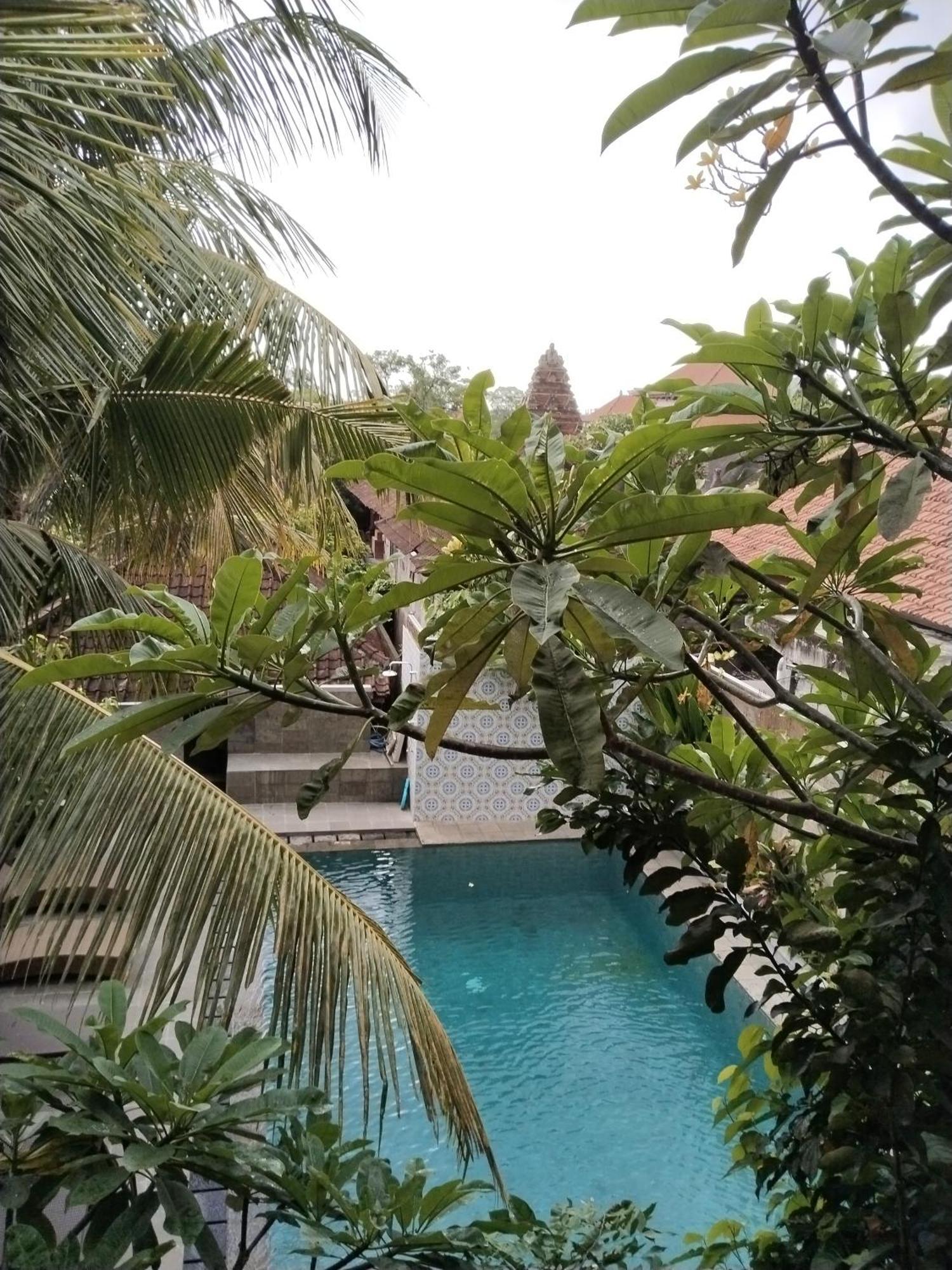 Dewa Bungalows Убуд Номер фото